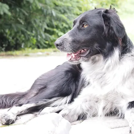 Aparthotel Bitter 4*